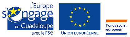 Logo FSE