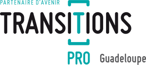 Logo TransitionPro