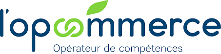 Logo Opcommerce