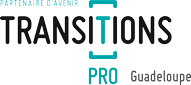 Logo TransitionPro