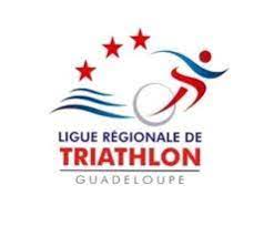 Logo ligue d etriathlon