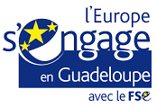 Logo L'europe s'engage