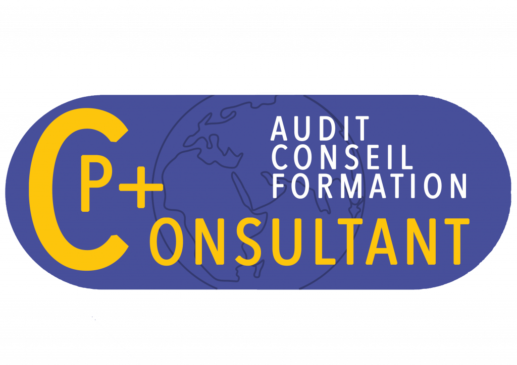 Logo P Plus Consulting