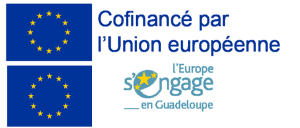 logo fse+ guadeloupe